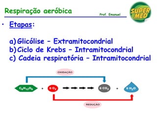 • Etapas:
a) Glicólise – Extramitocondrial
b) Ciclo de Krebs – Intramitocondrial
c) Cadeia respiratória – Intramitocondrial
Prof. Emanuel
Respiração aeróbica
 