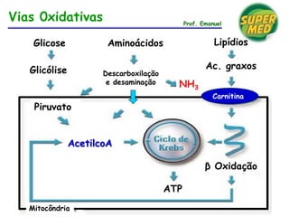 Vias 0xidativas Prof. Emanuel
Glicose
Glicólise
Piruvato
AcetilcoA
Aminoácidos
Descarboxilação
e desaminação NH3
Ac. graxos
Lipídios
β Oxidação
ATP
Carnitina
Mitocôndria
 