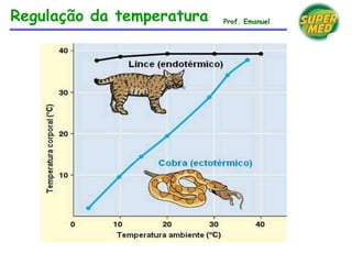 Regulação da temperatura Prof. Emanuel
 