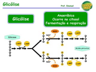 Glicólise Prof. Emanuel
Glicólise
Anaeróbica
Ocorre no citosol
Fermentação e respiração
 
