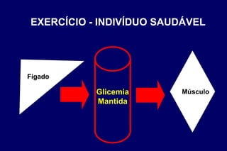 Glicemia Mantida EXERCÍCIO - INDIVÍDUO SAUDÁVEL Fígado Músculo 