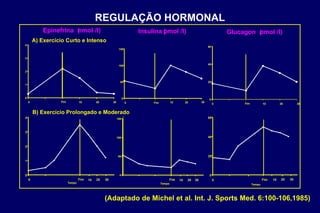 REGULAÇÃO HORMONAL 0 1 2 3 4 0 Fim 10 20 30 Tempo 0 1 2 3 4 0 Fim 20 30 0 50 100 150 0 50 100 150 0 20 40 60 0 20 40 60 Epinefrina  ( nmol /l) 0 Fim 10 20 30 Tempo Insulina ( pmol /l) 0 Fim 10 20 30 Tempo Glucagon ( pmol /l) 10 Fim 20 30 10 0 Fim 20 30 10 B) Exercício Prolongado e Moderado A) Exercício Curto e Intenso (Adaptado de Michel et al. Int. J. Sports Med. 6:100-106,1985) 