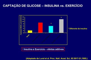 CAPTAÇÃO DE GLICOSE – INSULINA vs. EXERCÍCIO Insulina e Exercício – efeitos aditivos (Adaptado de Lund et al. Proc. Natl. Acad. Sci. 92:5817-21,1995.) * * * Diferente da insulina 