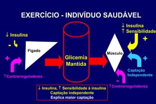 EXERCÍCIO - INDIVÍDUO SAUDÁVEL    Insulina,    Sensibilidade à insulina Captação independente Explica maior captação Glicemia Mantida  Contrarreguladores Fígado    Insulina - + Músculo    Insulina    Sensibilidade +  Contrarreguladores - Captação Independente + 