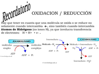 OXIDACION / REDUCCIÓN

Hay que tener en cuanta que una molécula se oxida o se reduce no
solamente cuando intercambia  e-, sino también cuando intercambia
átomos de Hidrógeno (no iones H), ya que involucra transferencia
de electrones:   H = H+  + e- . 
 