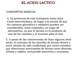 EL ACIDO LACTICO

CONCEPTOS BÁSICOS 

4. La presencia de este transporte tanto intra
Como intercelulares, da lugar a la noción de que
los caminos glucolítico y oxidativo pueden ser
considerados como enlazados, en lugar de
 alternativos, ya que el lactato es el producto de
 uno de los caminos y el sustrato para el otro.

5. A pesar de las controversias de hace algunos años
atrás, el concepto de los shuttles de lactato dentro y
entre células ha sido confirmado por varios estudios
que observaron intercambio de lactato entre diversas
células y tejidos, incluyendo astrocitos y neuronas.
 