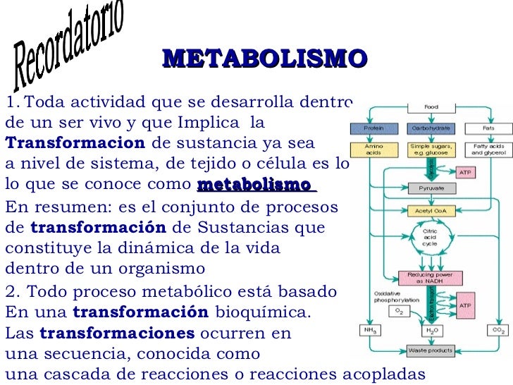 Aquí es whay usted debe hacer sobre bilirrubina metabolismo