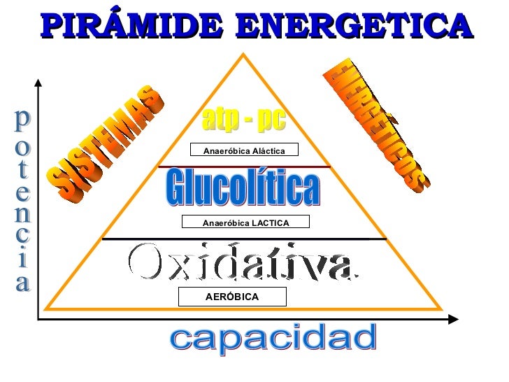 Aprender cómo curé mi metabolismo de las proteínas