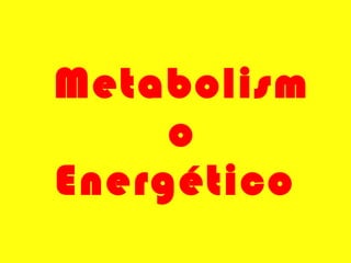 Metabolismo Energético  