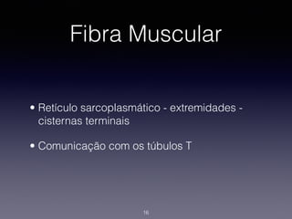 Fibra Muscular
• Retículo sarcoplasmático - extremidades -
cisternas terminais
• Comunicação com os túbulos T
16
 