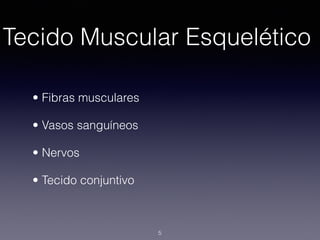 Tecido Muscular Esquelético
• Fibras musculares
• Vasos sanguíneos
• Nervos
• Tecido conjuntivo
5
 