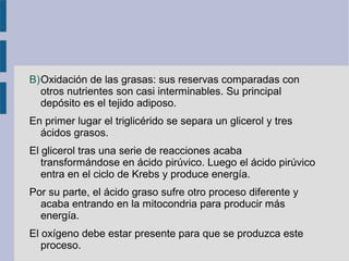 B)Oxidación de las grasas: sus reservas comparadas con
otros nutrientes son casi interminables. Su principal
depósito es el tejido adiposo.
En primer lugar el triglicérido se separa un glicerol y tres
ácidos grasos.
El glicerol tras una serie de reacciones acaba
transformándose en ácido pirúvico. Luego el ácido pirúvico
entra en el ciclo de Krebs y produce energía.
Por su parte, el ácido graso sufre otro proceso diferente y
acaba entrando en la mitocondria para producir más
energía.
El oxígeno debe estar presente para que se produzca este
proceso.
 