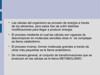 
Las células del organismo se proveen de energía a través
de los alimentos, pero estos han de sufrir distintas
modificaciones para llegar a producir energía.

El proceso mediante el cual las células son capaces de
descomponer en moléculas sencillas otras m´´as complejas
se llama catabolismo.

El proceso inverso, formar moléculas grandes a través de
otras más pequeñas se le llama anabolismo.

De manera general, al conjunto de transformaciones que se
producen en las células se le llama METABOLISMO.
 