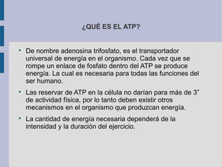 ¿QUÉ ES EL ATP?

De nombre adenosina trifosfato, es el transportador
universal de energía en el organismo. Cada vez que se
rompe un enlace de fosfato dentro del ATP se produce
energía. La cual es necesaria para todas las funciones del
ser humano.

Las reservar de ATP en la célula no darían para más de 3”
de actividad física, por lo tanto deben existir otros
mecanismos en el organismo que produzcan energía.

La cantidad de energía necesaria dependerá de la
intensidad y la duración del ejercicio.
 