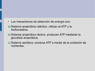 
Los mecanismos de obtención de energía son:
a) Sistema anaeróbico aláctico: utilizan el ATP y la
fosfocreatina.
b) Sistema anaeróbico láctico: producen ATP mediante la
glucolisis anaeróbica.
c) Sistema aeróbico: produce ATP a través de la oxidación de
nutrientes.
 
