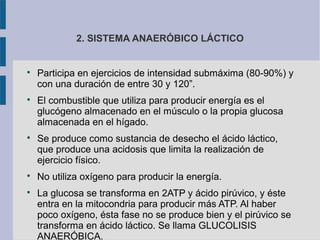 2. SISTEMA ANAERÓBICO LÁCTICO

Participa en ejercicios de intensidad submáxima (80-90%) y
con una duración de entre 30 y 120”.

El combustible que utiliza para producir energía es el
glucógeno almacenado en el músculo o la propia glucosa
almacenada en el hígado.

Se produce como sustancia de desecho el ácido láctico,
que produce una acidosis que limita la realización de
ejercicio físico.

No utiliza oxígeno para producir la energía.

La glucosa se transforma en 2ATP y ácido pirúvico, y éste
entra en la mitocondria para producir más ATP. Al haber
poco oxígeno, ésta fase no se produce bien y el pirúvico se
transforma en ácido láctico. Se llama GLUCOLISIS
ANAERÓBICA.
 