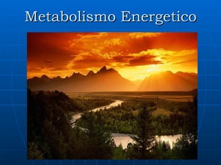 Metabolismo Energetico
 