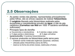 2.5 Observações
 As partes verdes das plantas, representadas principalmente
pelas folhas, são as únicas capazes de realizar fotossíntese.
 O oxigênio liberado pela fotossíntese realizada pelos
eucariontes e cianobactérias provém da água, e não do gás
carbônico (Cornelius van Niel em 1930  bactéria vermelhas
sulfurosas)
 Principais tipos de clorofila:
a eucariontes e cianobactérias b  plantas e algas verdes
c  algas pardas e diatomáceas d  algas vermelhas
bacterioclorofila  bactérias fotossintetizantes
 O açúcar produzido na fotossíntese parte serve para
• sintetizar outras moléculas orgânicas (sacarose, celulose)
• utilizada pelas mitocôndrias (cerca de 50%),
• reserva na forma de amido (raízes, tubérculos e frutos).
 