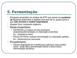 5. Fermentação
 Processo anaeróbio de síntese de ATP que ocorre na ausência
de O2(solos profundos e regiões com teor de O2 quase zero) e
que não envolve a cadeia respiratória.
 Aceptor final: composto orgânico.
 Seres Anaeróbios:
• ESTRITOS: só realiza um dos processos
anaeróbios(fermentação ou respiração anaeróbia)
Ex.: Clostridium tetani
• FACULTATIVAS: realizam fermentação ou respiração aeróbia.
Ex.: Sacharomyces cerevisiae
 Procedimento:
• Glicose degradada em substâncias orgânicas mais simples
como : ácido lático (fermentação lática) e álcool etílico
(fermentação alcoólica)
 