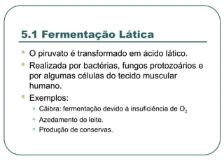 5.1 Fermentação Lática
 O piruvato é transformado em ácido lático.
 Realizada por bactérias, fungos protozoários e
por algumas células do tecido muscular
humano.
 Exemplos:
• Cãibra: fermentação devido à insuficiência de O2
• Azedamento do leite.
• Produção de conservas.
 