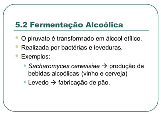 5.2 Fermentação Alcoólica
 O piruvato é transformado em álcool etílico.
 Realizada por bactérias e leveduras.
 Exemplos:
• Sacharomyces cerevisiae  produção de
bebidas alcoólicas (vinho e cerveja)
• Levedo  fabricação de pão.
 