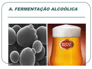 A. FERMENTAÇÃO ALCOÓLICA
 