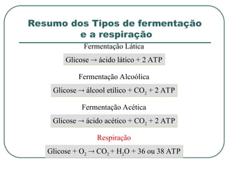 Glicose  ácido lático + 2 ATP
Fermentação Lática
Glicose  álcool etílico + CO2 + 2 ATP
Fermentação Alcoólica
Glicose  ácido acético + CO2 + 2 ATP
Fermentação Acética
Glicose + O2  CO2 + H2O + 36 ou 38 ATP
Respiração
Resumo dos Tipos de fermentação
e a respiração
 