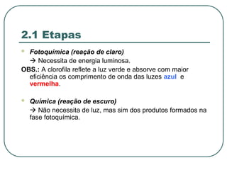 2.1 Etapas
 Fotoquímica (reação de claro)
 Necessita de energia luminosa.
OBS.: A clorofila reflete a luz verde e absorve com maior
eficiência os comprimento de onda das luzes azul e
vermelha.
 Química (reação de escuro)
 Não necessita de luz, mas sim dos produtos formados na
fase fotoquímica.
 