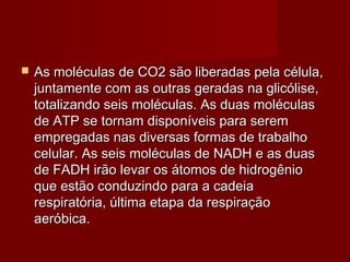  As moléculas de CO2 são liberadas pela célula,As moléculas de CO2 são liberadas pela célula,
juntamente com as outras geradas na glicólise,juntamente com as outras geradas na glicólise,
totalizando seis moléculas. As duas moléculastotalizando seis moléculas. As duas moléculas
de ATP se tornam disponíveis para seremde ATP se tornam disponíveis para serem
empregadas nas diversas formas de trabalhoempregadas nas diversas formas de trabalho
celular. As seis moléculas de NADH e as duascelular. As seis moléculas de NADH e as duas
de FADH irão levar os átomos de hidrogêniode FADH irão levar os átomos de hidrogênio
que estão conduzindo para a cadeiaque estão conduzindo para a cadeia
respiratória, última etapa da respiraçãorespiratória, última etapa da respiração
aeróbica.aeróbica.
 