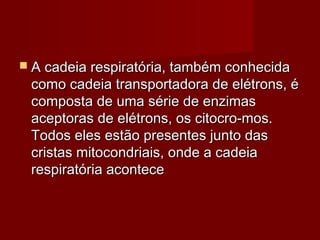  A cadeia respiratória, também conhecidaA cadeia respiratória, também conhecida
como cadeia transportadora de elétrons, écomo cadeia transportadora de elétrons, é
composta de uma série de enzimascomposta de uma série de enzimas
aceptoras de elétrons, os citocro-mos.aceptoras de elétrons, os citocro-mos.
Todos eles estão presentes junto dasTodos eles estão presentes junto das
cristas mitocondriais, onde a cadeiacristas mitocondriais, onde a cadeia
respiratória acontecerespiratória acontece
 