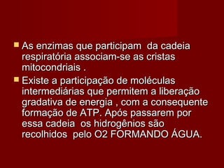  As enzimas que participam da cadeiaAs enzimas que participam da cadeia
respiratória associam-se as cristasrespiratória associam-se as cristas
mitocondriais .mitocondriais .
 Existe a participação de moléculasExiste a participação de moléculas
intermediárias que permitem a liberaçãointermediárias que permitem a liberação
gradativa de energia , com a consequentegradativa de energia , com a consequente
formação de ATP. Após passarem porformação de ATP. Após passarem por
essa cadeia os hidrogênios sãoessa cadeia os hidrogênios são
recolhidos pelo O2 FORMANDO ÁGUA.recolhidos pelo O2 FORMANDO ÁGUA.
 