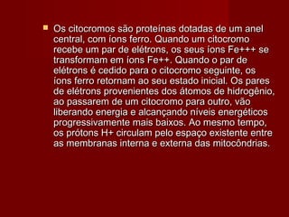  Os citocromos são proteínas dotadas de um anelOs citocromos são proteínas dotadas de um anel
central, com íons ferro. Quando um citocromocentral, com íons ferro. Quando um citocromo
recebe um par de elétrons, os seus íons Fe+++ serecebe um par de elétrons, os seus íons Fe+++ se
transformam em íons Fe++. Quando o par detransformam em íons Fe++. Quando o par de
elétrons é cedido para o citocromo seguinte, oselétrons é cedido para o citocromo seguinte, os
íons ferro retornam ao seu estado inicial. Os paresíons ferro retornam ao seu estado inicial. Os pares
de elétrons provenientes dos átomos de hidrogênio,de elétrons provenientes dos átomos de hidrogênio,
ao passarem de um citocromo para outro, vãoao passarem de um citocromo para outro, vão
liberando energia e alcançando níveis energéticosliberando energia e alcançando níveis energéticos
progressivamente mais baixos. Ao mesmo tempo,progressivamente mais baixos. Ao mesmo tempo,
os prótons H+ circulam pelo espaço existente entreos prótons H+ circulam pelo espaço existente entre
as membranas interna e externa das mitocôndrias.as membranas interna e externa das mitocôndrias.
 