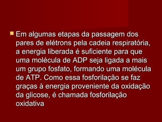 Em algumas etapas da passagem dosEm algumas etapas da passagem dos
pares de elétrons pela cadeia respiratória,pares de elétrons pela cadeia respiratória,
a energia liberada é suficiente para quea energia liberada é suficiente para que
uma molécula de ADP seja ligada a maisuma molécula de ADP seja ligada a mais
um grupo fosfato, formando uma moléculaum grupo fosfato, formando uma molécula
de ATP. Como essa fosforilação se fazde ATP. Como essa fosforilação se faz
graças à energia proveniente da oxidaçãograças à energia proveniente da oxidação
da glicose, é chamada fosforilaçãoda glicose, é chamada fosforilação
oxidativaoxidativa
 