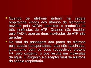  Quando os elétrons entram na cadeiaQuando os elétrons entram na cadeia
respiratória vindos dos átomos de hidrogêniorespiratória vindos dos átomos de hidrogênio
trazidos pelo NADH, permitem a produção detrazidos pelo NADH, permitem a produção de
três moléculas de ATP. Quando são trazidostrês moléculas de ATP. Quando são trazidos
pelo FADH, apenas duas moléculas de ATP sãopelo FADH, apenas duas moléculas de ATP são
geradas.geradas.
 No final da passagem dos pares de elétronsNo final da passagem dos pares de elétrons
pela cadeia transportadora, eles são recolhidos,pela cadeia transportadora, eles são recolhidos,
juntamente com os seus respectivos prótonsjuntamente com os seus respectivos prótons
H+, pelo oxigênio, o que resulta em moléculasH+, pelo oxigênio, o que resulta em moléculas
de água. O oxigênio é o aceptor final de elétronsde água. O oxigênio é o aceptor final de elétrons
da cadeia respiratória.da cadeia respiratória.
 