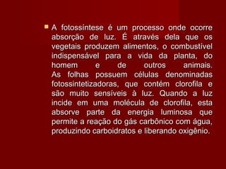  A fotossíntese é um processo onde ocorreA fotossíntese é um processo onde ocorre
absorção de luz. É através dela que osabsorção de luz. É através dela que os
vegetais produzem alimentos, o combustívelvegetais produzem alimentos, o combustível
indispensável para a vida da planta, doindispensável para a vida da planta, do
homem e de outros animais.homem e de outros animais.
As folhas possuem células denominadasAs folhas possuem células denominadas
fotossintetizadoras, que contém clorofila efotossintetizadoras, que contém clorofila e
são muito sensíveis à luz. Quando a luzsão muito sensíveis à luz. Quando a luz
incide em uma molécula de clorofila, estaincide em uma molécula de clorofila, esta
absorve parte da energia luminosa queabsorve parte da energia luminosa que
permite a reação do gás carbônico com água,permite a reação do gás carbônico com água,
produzindo carboidratos e liberando oxigênio.produzindo carboidratos e liberando oxigênio.
 
