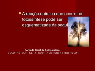  A reação química que ocorre naA reação química que ocorre na
fotossíntese pode serfotossíntese pode ser
esquematizada da seguinte forma:esquematizada da seguinte forma:
Fórmula Geral da Fotossíntese
6 CO2 + 12 H2O ----luz---+--clorof----> C6H12O6 + 6 H2O + 6 O2
 