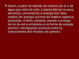  Assim, a partir do dióxido de carbono do ar e daAssim, a partir do dióxido de carbono do ar e da
água que retira do solo, a planta fabrica os seuságua que retira do solo, a planta fabrica os seus
alimentos, convertendo a energia dos raiosalimentos, convertendo a energia dos raios
solares em energia química da matéria orgânicasolares em energia química da matéria orgânica
produzida. A folha, portanto, prende a energiaproduzida. A folha, portanto, prende a energia
da luz do sol e armazena-a na forma de energiada luz do sol e armazena-a na forma de energia
química, nas ligações químicas entre osquímica, nas ligações químicas entre os
componentes dos hidratos de carbono.componentes dos hidratos de carbono.
 