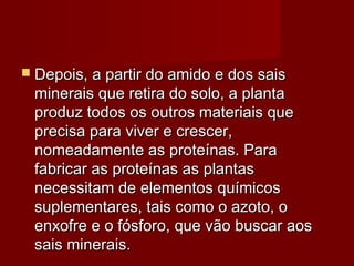  Depois, a partir do amido e dos saisDepois, a partir do amido e dos sais
minerais que retira do solo, a plantaminerais que retira do solo, a planta
produz todos os outros materiais queproduz todos os outros materiais que
precisa para viver e crescer,precisa para viver e crescer,
nomeadamente as proteínas. Paranomeadamente as proteínas. Para
fabricar as proteínas as plantasfabricar as proteínas as plantas
necessitam de elementos químicosnecessitam de elementos químicos
suplementares, tais como o azoto, osuplementares, tais como o azoto, o
enxofre e o fósforo, que vão buscar aosenxofre e o fósforo, que vão buscar aos
sais minerais.sais minerais.
 