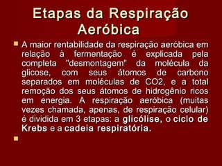 Etapas da RespiraçãoEtapas da Respiração
AeróbicaAeróbica
 A maior rentabilidade da respiração aeróbica emA maior rentabilidade da respiração aeróbica em
relação à fermentação é explicada pelarelação à fermentação é explicada pela
completa "desmontagem" da molécula dacompleta "desmontagem" da molécula da
glicose, com seus átomos de carbonoglicose, com seus átomos de carbono
separados em moléculas de CO2, e a totalseparados em moléculas de CO2, e a total
remoção dos seus átomos de hidrogênio ricosremoção dos seus átomos de hidrogênio ricos
em energia. A respiração aeróbica (muitasem energia. A respiração aeróbica (muitas
vezes chamada, apenas, de respiração celular)vezes chamada, apenas, de respiração celular)
é dividida em 3 etapas: aé dividida em 3 etapas: a glicólise,glicólise, oo ciclo deciclo de
KrebsKrebs e ae a cadeia respiratória.cadeia respiratória.
   
 