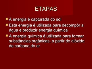 ETAPASETAPAS
 A energia é capturada do solA energia é capturada do sol
 Esta energia é utilizada para decompôr aEsta energia é utilizada para decompôr a
água e produzir energia químicaágua e produzir energia química
 A energia química é utilizada para formarA energia química é utilizada para formar
substâncias orgânicas, a partir do dióxidosubstâncias orgânicas, a partir do dióxido
de carbono do arde carbono do ar
 
