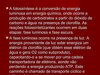  A fotossíntese é a conversão de energiaA fotossíntese é a conversão de energia
luminosa em energia química, onde ocorre aluminosa em energia química, onde ocorre a
produção de carboidratos a partir do dióxido deprodução de carboidratos a partir do dióxido de
carbono e água na presença de clorofila. Ascarbono e água na presença de clorofila. As
reações fotossintetizantes ocorrem em duasreações fotossintetizantes ocorrem em duas
etapas: fase luminosa e fase escura.etapas: fase luminosa e fase escura.
 A fase luminosa ocorre na presença de luz. AA fase luminosa ocorre na presença de luz. A
energia proveniente da luz solar energiza umenergia proveniente da luz solar energiza um
elétron da clorofila (que obtém esse elétron daelétron da clorofila (que obtém esse elétron da
água e gera O2 como subproduto),água e gera O2 como subproduto),
capacitando-o a se mover por uma cadeiacapacitando-o a se mover por uma cadeia
transportadora de elétrons, aonde vãotransportadora de elétrons, aonde vão
perdendo a energia produzindo ATP. Esteperdendo a energia produzindo ATP. Este
caminho é chamado de transporte cíclico ecaminho é chamado de transporte cíclico e
 