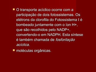  O transporte acíclico ocorre com aO transporte acíclico ocorre com a
participação de dois fotossistemas. Osparticipação de dois fotossistemas. Os
elétrons da clorofila do Fotossistema I éelétrons da clorofila do Fotossistema I é
bombeado juntamente com o íon H+,bombeado juntamente com o íon H+,
que são recolhidos pelo NADP+,que são recolhidos pelo NADP+,
convertendo-o em NADPH. Esta sínteseconvertendo-o em NADPH. Esta síntese
é também chamada deé também chamada de fosforilaçãofosforilação
acíclicaacíclica..
 moléculas orgânicas.moléculas orgânicas.
 