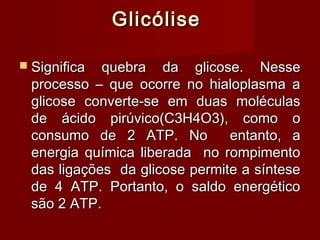 GlicóliseGlicólise
 Significa quebra da glicose. NesseSignifica quebra da glicose. Nesse
processo – que ocorre no hialoplasma aprocesso – que ocorre no hialoplasma a
glicose converte-se em duas moléculasglicose converte-se em duas moléculas
de ácido pirúvico(C3H4O3), como ode ácido pirúvico(C3H4O3), como o
consumo de 2 ATP. No entanto, aconsumo de 2 ATP. No entanto, a
energia química liberada no rompimentoenergia química liberada no rompimento
das ligações da glicose permite a síntesedas ligações da glicose permite a síntese
de 4 ATP. Portanto, o saldo energéticode 4 ATP. Portanto, o saldo energético
são 2 ATP.são 2 ATP.
 