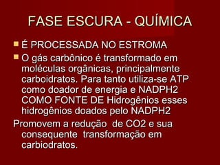 FASE ESCURA - QUÍMICAFASE ESCURA - QUÍMICA
 É PROCESSADA NO ESTROMAÉ PROCESSADA NO ESTROMA
 O gás carbônico é transformado emO gás carbônico é transformado em
moléculas orgânicas, principalmentemoléculas orgânicas, principalmente
carboidratos. Para tanto utiliza-se ATPcarboidratos. Para tanto utiliza-se ATP
como doador de energia e NADPH2como doador de energia e NADPH2
COMO FONTE DE Hidrogênios essesCOMO FONTE DE Hidrogênios esses
hidrogênios doados pelo NADPH2hidrogênios doados pelo NADPH2
Promovem a redução de CO2 e suaPromovem a redução de CO2 e sua
consequente transformação emconsequente transformação em
carbiodratos.carbiodratos.
 