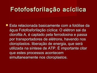 Fotofosforilação acíclicaFotofosforilação acíclica
 Esta relacionada basicamente com a fotólise daEsta relacionada basicamente com a fotólise da
água Fotofosforilação cíclica: O elétron sai daágua Fotofosforilação cíclica: O elétron sai da
clorofila A, é captado pela ferrodoxina e passaclorofila A, é captado pela ferrodoxina e passa
por transportadores de elétrons, havendo nospor transportadores de elétrons, havendo nos
cloroplastos. liberação de energia, que serácloroplastos. liberação de energia, que será
utilizada na síntese de ATP. É importante citarutilizada na síntese de ATP. É importante citar
que estes processos acontecemque estes processos acontecem
simultaneamente nos cloroplastos.simultaneamente nos cloroplastos.
 