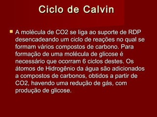 Ciclo de CalvinCiclo de Calvin
 A molécula de CO2 se liga ao suporte de RDPA molécula de CO2 se liga ao suporte de RDP
desencadeando um ciclo de reações no qual sedesencadeando um ciclo de reações no qual se
formam vários compostos de carbono. Paraformam vários compostos de carbono. Para
formação de uma molécula de glicose éformação de uma molécula de glicose é
necessário que ocorram 6 ciclos destes. Osnecessário que ocorram 6 ciclos destes. Os
átomos de Hidrogênio da água são adicionadosátomos de Hidrogênio da água são adicionados
a compostos de carbonos, obtidos a partir dea compostos de carbonos, obtidos a partir de
CO2, havendo uma redução de gás, comCO2, havendo uma redução de gás, com
produção de glicose.produção de glicose.
 