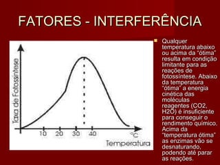 FATORES - INTERFERÊNCIAFATORES - INTERFERÊNCIA
 QualquerQualquer
temperatura abaixotemperatura abaixo
ou acima da “ótima”ou acima da “ótima”
resulta em condiçãoresulta em condição
limitante para aslimitante para as
reações dereações de
fotossíntese. Abaixofotossíntese. Abaixo
da temperaturada temperatura
“ótima” a energia“ótima” a energia
cinética dascinética das
moléculasmoléculas
reagentes (CO2,reagentes (CO2,
H2O) é insuficienteH2O) é insuficiente
para conseguir opara conseguir o
rendimento químico.rendimento químico.
Acima daAcima da
“temperatura ótima”“temperatura ótima”
as enzimas vão seas enzimas vão se
desnaturando,desnaturando,
podendo até pararpodendo até parar
as reações.as reações.
 