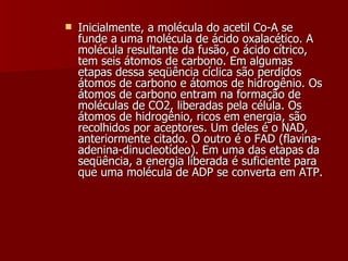Inicialmente, a molécula do acetil Co-A se funde a uma molécula de ácido oxalacético. A molécula resultante da fusão, o ácido cítrico, tem seis átomos de carbono. Em algumas etapas dessa seqüência cíclica são perdidos átomos de carbono e átomos de hidrogênio. Os átomos de carbono entram na formação de moléculas de CO2, liberadas pela célula. Os átomos de hidrogênio, ricos em energia, são recolhidos por aceptores. Um deles é o NAD, anteriormente citado. O outro é o FAD (flavina-adenina-dinucleotídeo). Em uma das etapas da seqüência, a energia liberada é suficiente para que uma molécula de ADP se converta em ATP. 