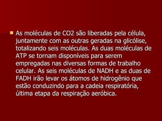 As moléculas de CO2 são liberadas pela célula, juntamente com as outras geradas na glicólise, totalizando seis moléculas. As duas moléculas de ATP se tornam disponíveis para serem empregadas nas diversas formas de trabalho celular. As seis moléculas de NADH e as duas de FADH irão levar os átomos de hidrogênio que estão conduzindo para a cadeia respiratória, última etapa da respiração aeróbica. 