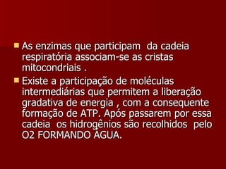 As enzimas que participam  da cadeia respiratória associam-se as cristas mitocondriais .  Existe a participação de moléculas  intermediárias que permitem a liberação gradativa de energia , com a consequente formação de ATP. Após passarem por essa cadeia  os hidrogênios são recolhidos  pelo O2 FORMANDO ÁGUA. 